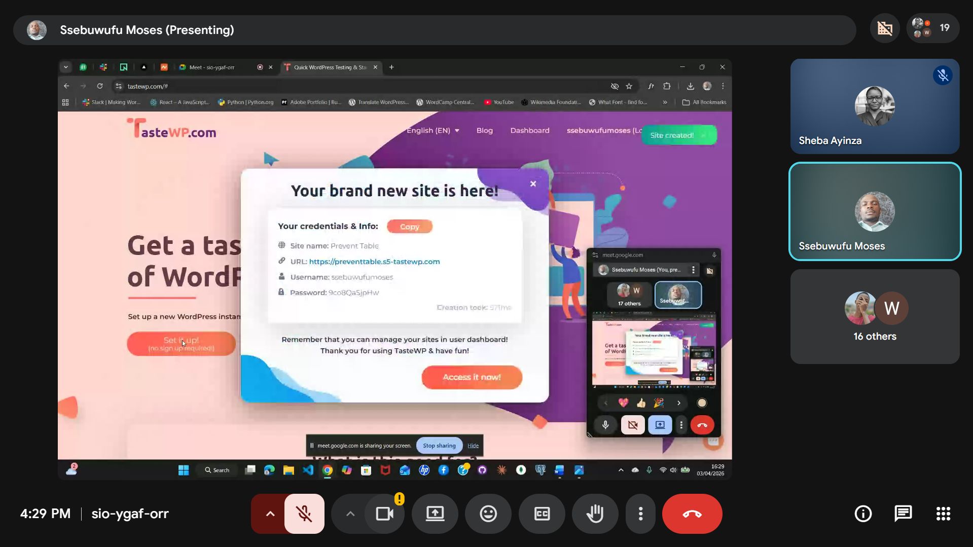 Online WordPress Training